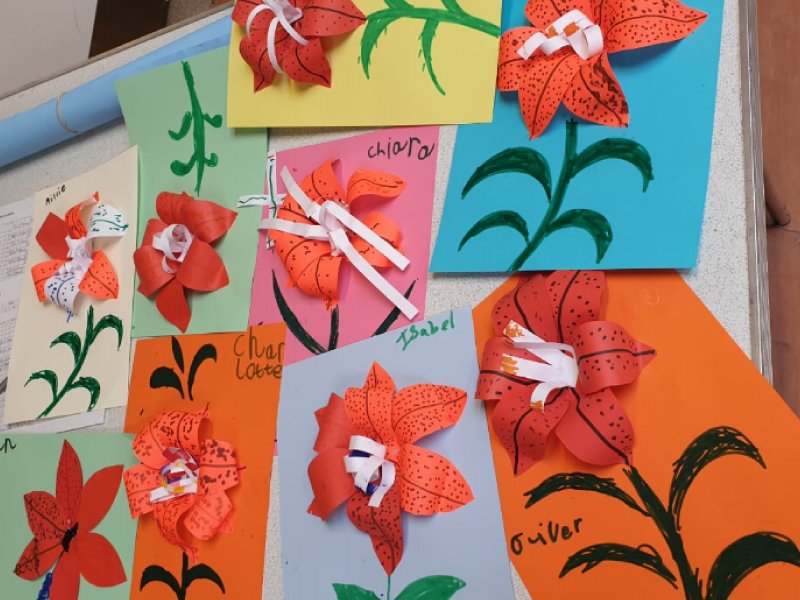 Learn-Dvlpmnt-flowers